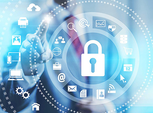 professional internet investigations